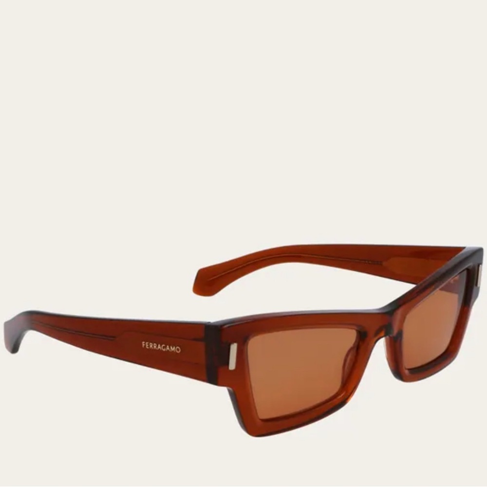 Salvatore Ferragamo Brown Unisex Sunglasses